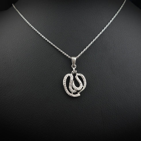 Silver ALLAH pendant - DS 153